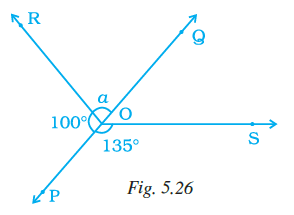 Page 135 Chapter 5 Class 7th NCERT Exemplar